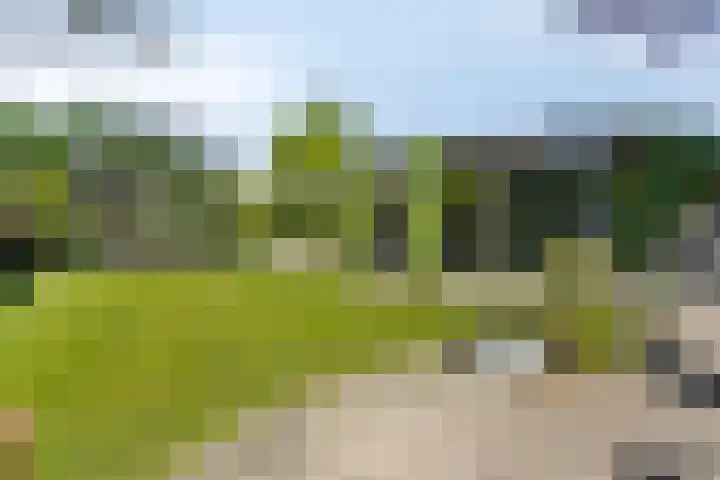 Rijnstraat 42 Eindhoven thumbnail 4