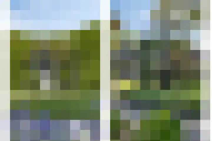 Rijnstraat 42 Eindhoven thumbnail 62