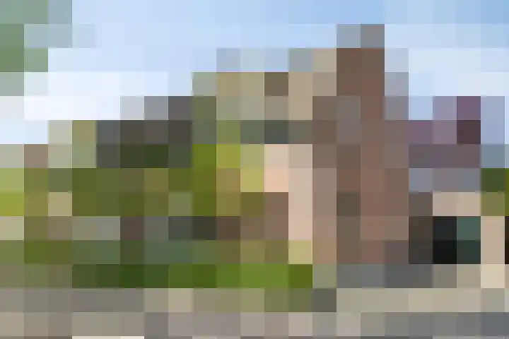 Rijnstraat 42 Eindhoven thumbnail 65