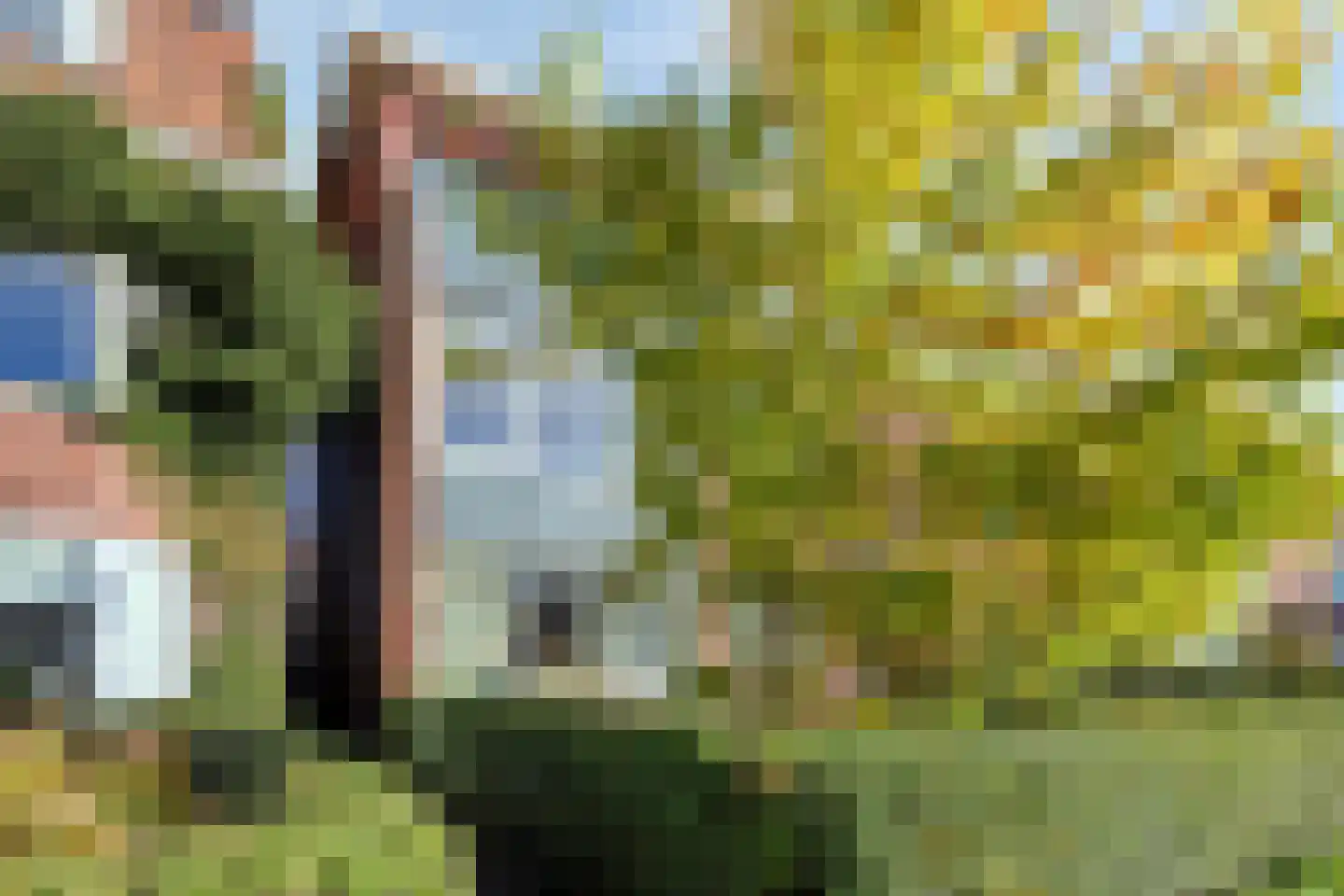 Rijnstraat 42 Groningen thumbnail 21