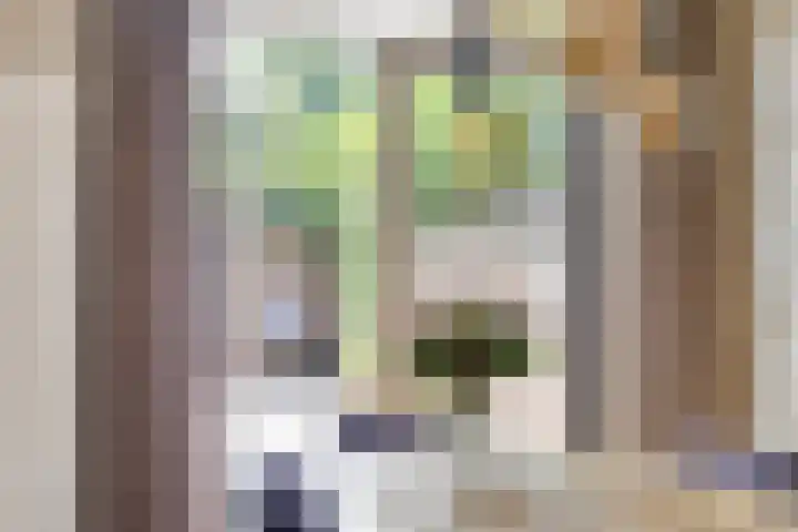 Rijnstraat 43 Enschede thumbnail 11