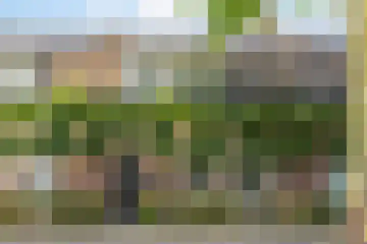 Rijnstraat 44 in Eindhoven