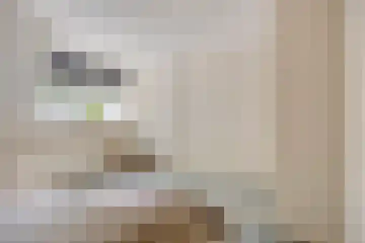 Rijnstraat 44 Eindhoven thumbnail 33