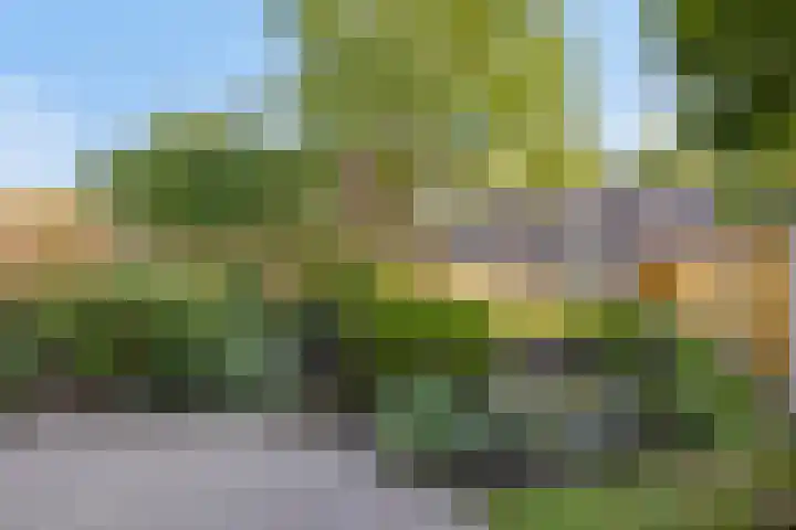 Rijnstraat 44 Eindhoven thumbnail 4