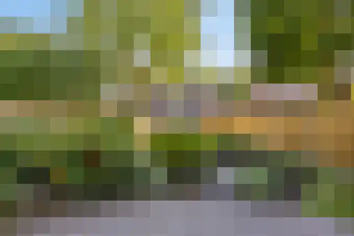 Rijnstraat 44 Eindhoven thumbnail 58