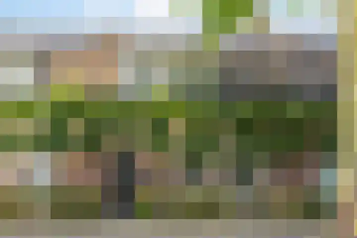 Rijnstraat 44 Eindhoven thumbnail 69