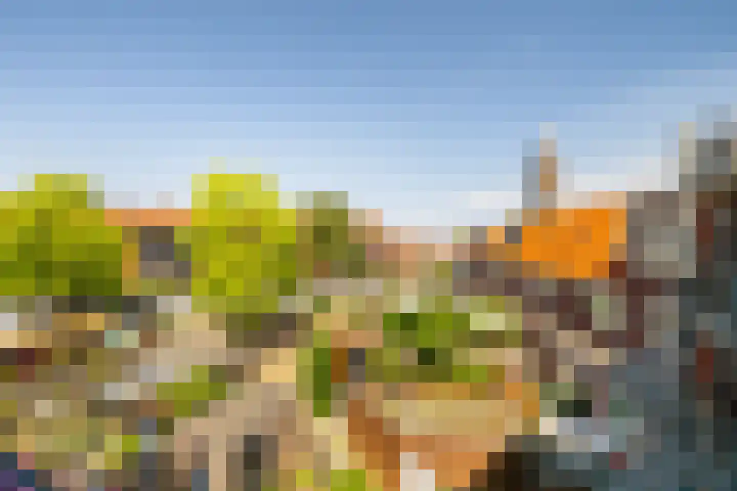 Rijnstraat 44 Schiedam thumbnail 4
