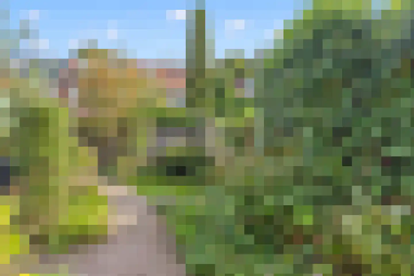 Rijnstraat 45 Amersfoort thumbnail 32