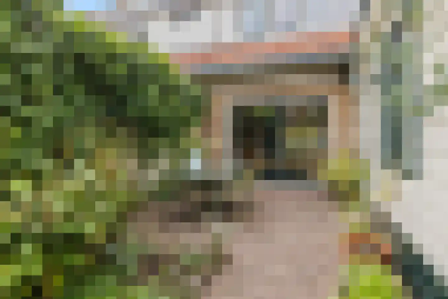 Rijnstraat 45 Amersfoort thumbnail 39