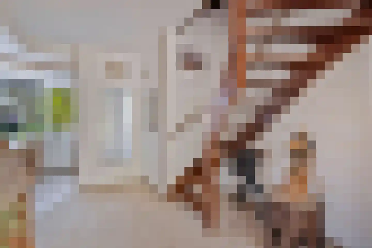 Rijnstraat 46 Krimpen aan de Lek thumbnail 12