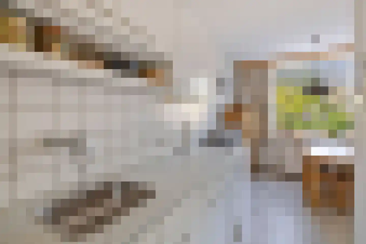 Rijnstraat 46 Krimpen aan de Lek thumbnail 14