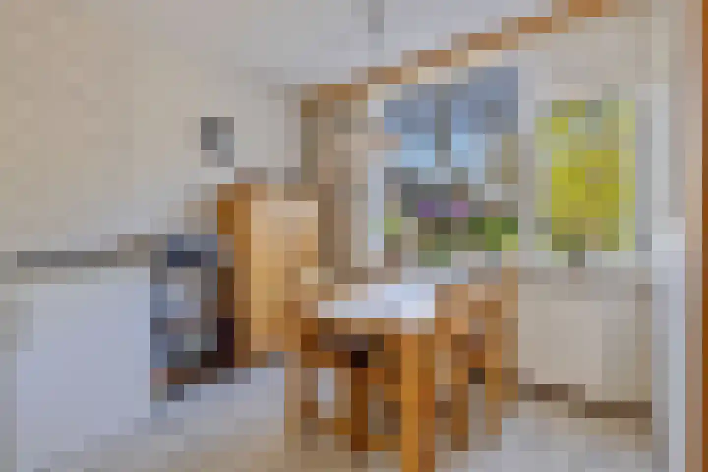 Rijnstraat 46 Krimpen aan de Lek thumbnail 15