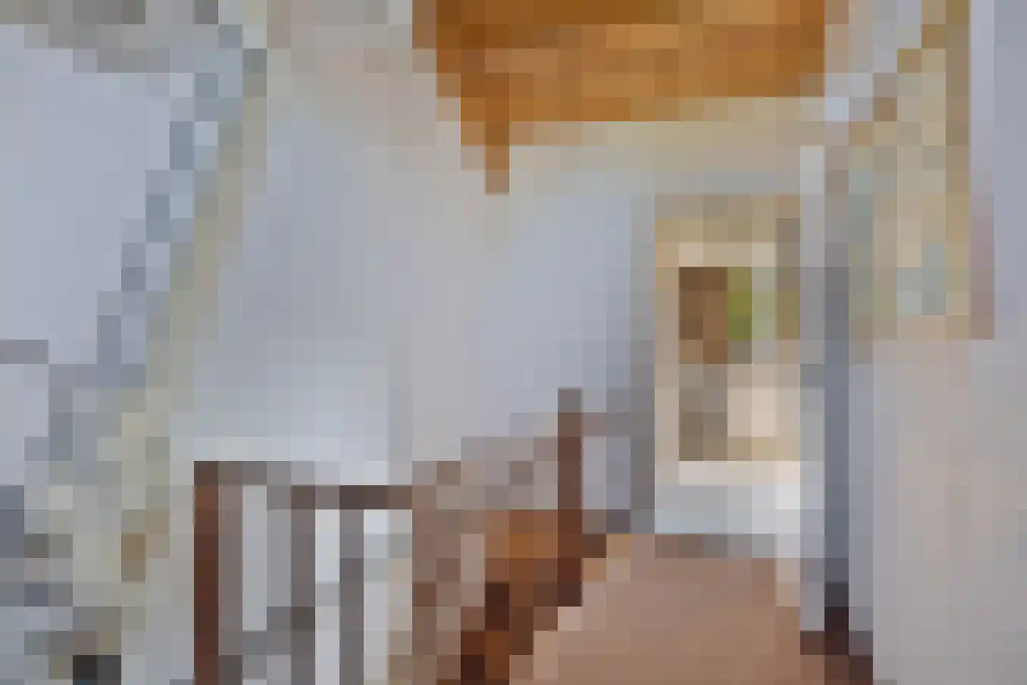 Rijnstraat 46 Krimpen aan de Lek thumbnail 28