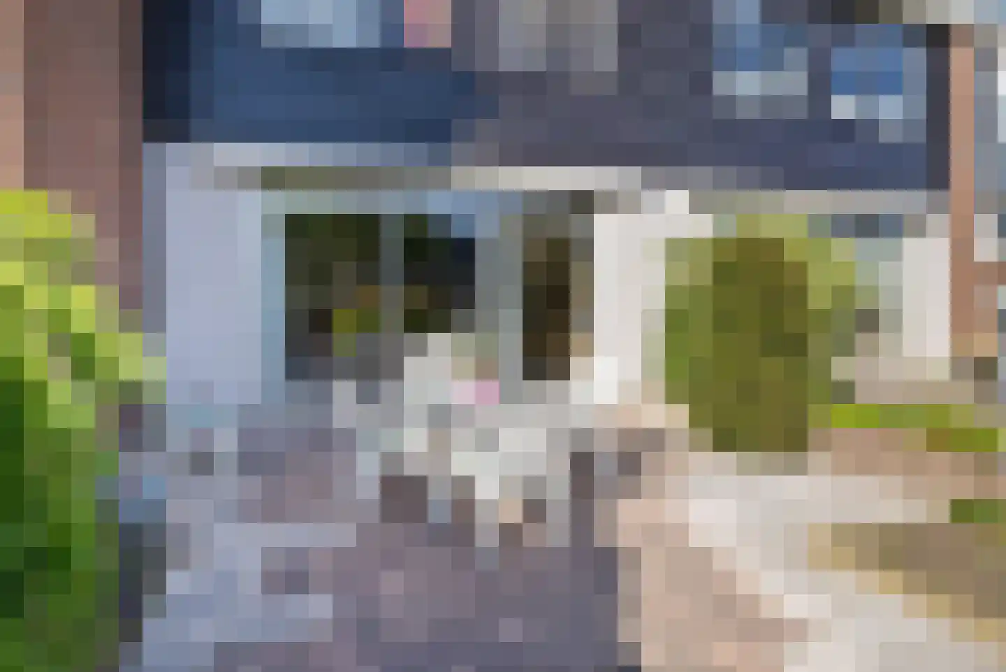 Rijnstraat 46 Krimpen aan de Lek thumbnail 32