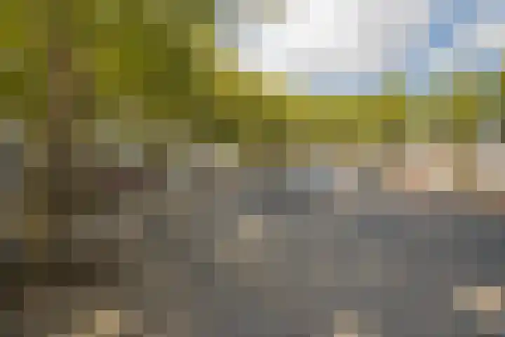 Rijnstraat 483 's-Hertogenbosch thumbnail 34