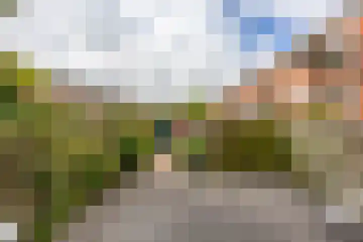 Rijnstraat 5 Groningen thumbnail 25