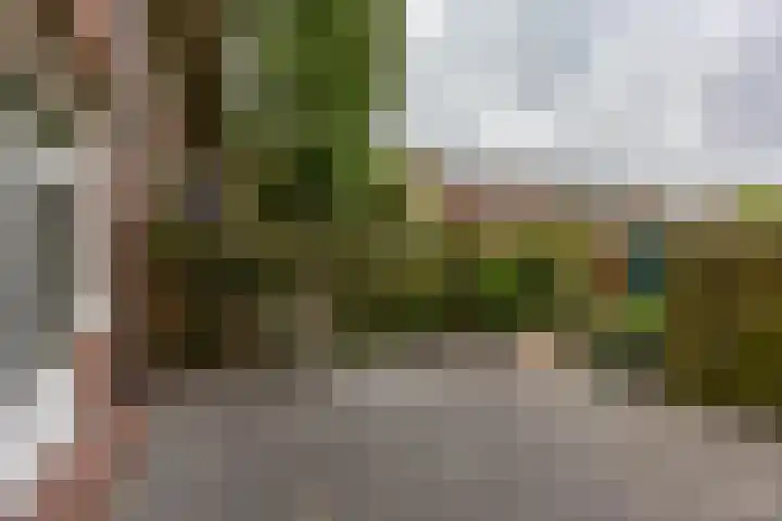 Rijnstraat 5 Groningen thumbnail 27