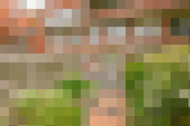 Rijnstraat 5 Groningen thumbnail 28