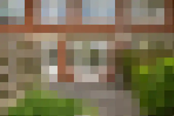 Rijnstraat 5 Groningen thumbnail 29