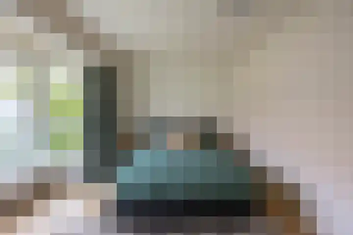Rijnstraat 5 Groningen thumbnail 32