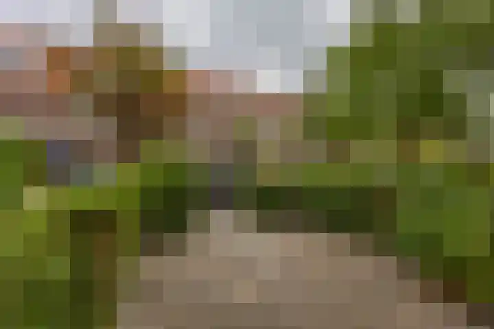 Rijnstraat 5 Groningen thumbnail 4