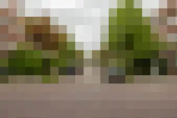Rijnstraat 5 Groningen thumbnail 5