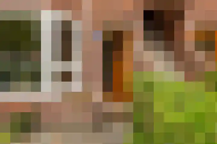 Rijnstraat 5 Groningen thumbnail 7