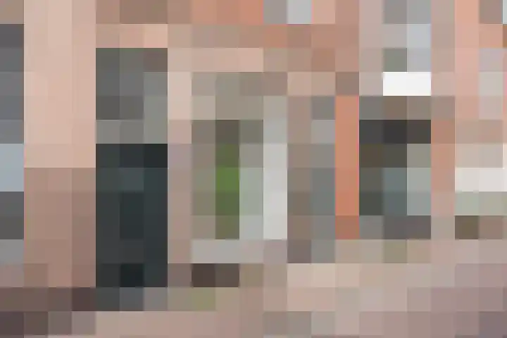 Rijnstraat 5 Leiden thumbnail 5