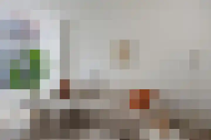 Rijnstraat 5 Leiden thumbnail 9