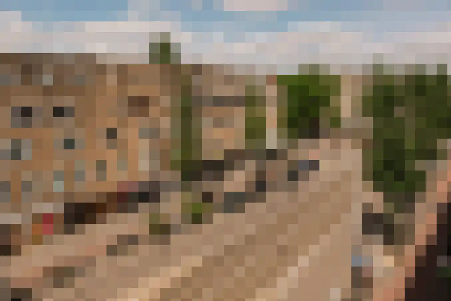 Rijnstraat 51 4 Amsterdam thumbnail 23