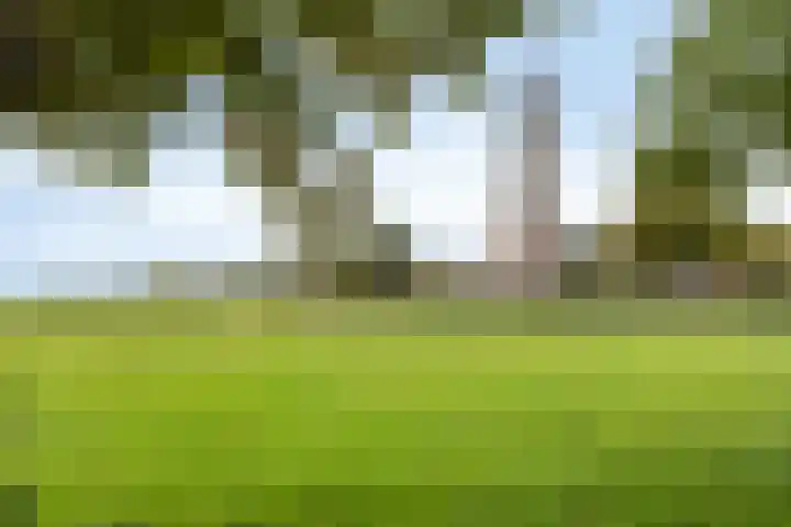 Rijnstraat 53 Rhenen thumbnail 33