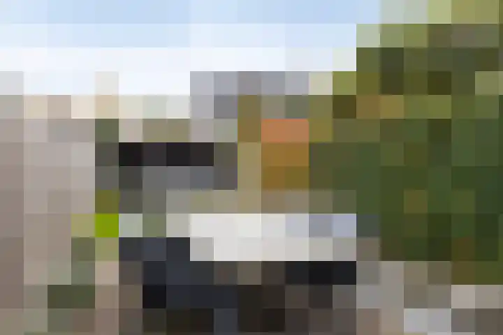 Rijnstraat 53 Rhenen thumbnail 4