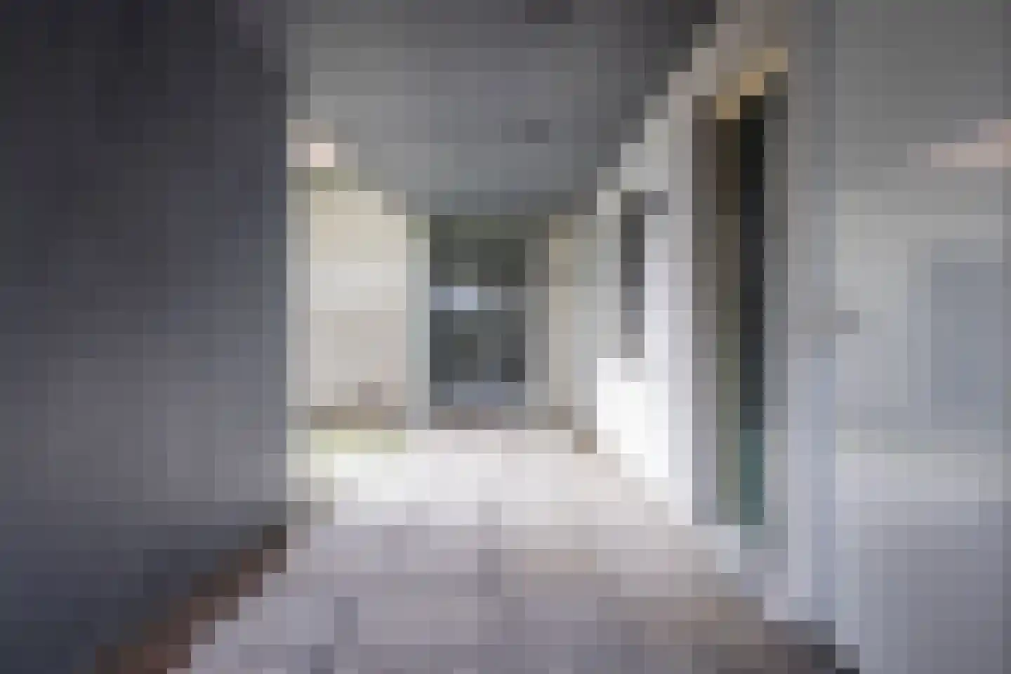 Rijnstraat 56 9 Arnhem thumbnail 6
