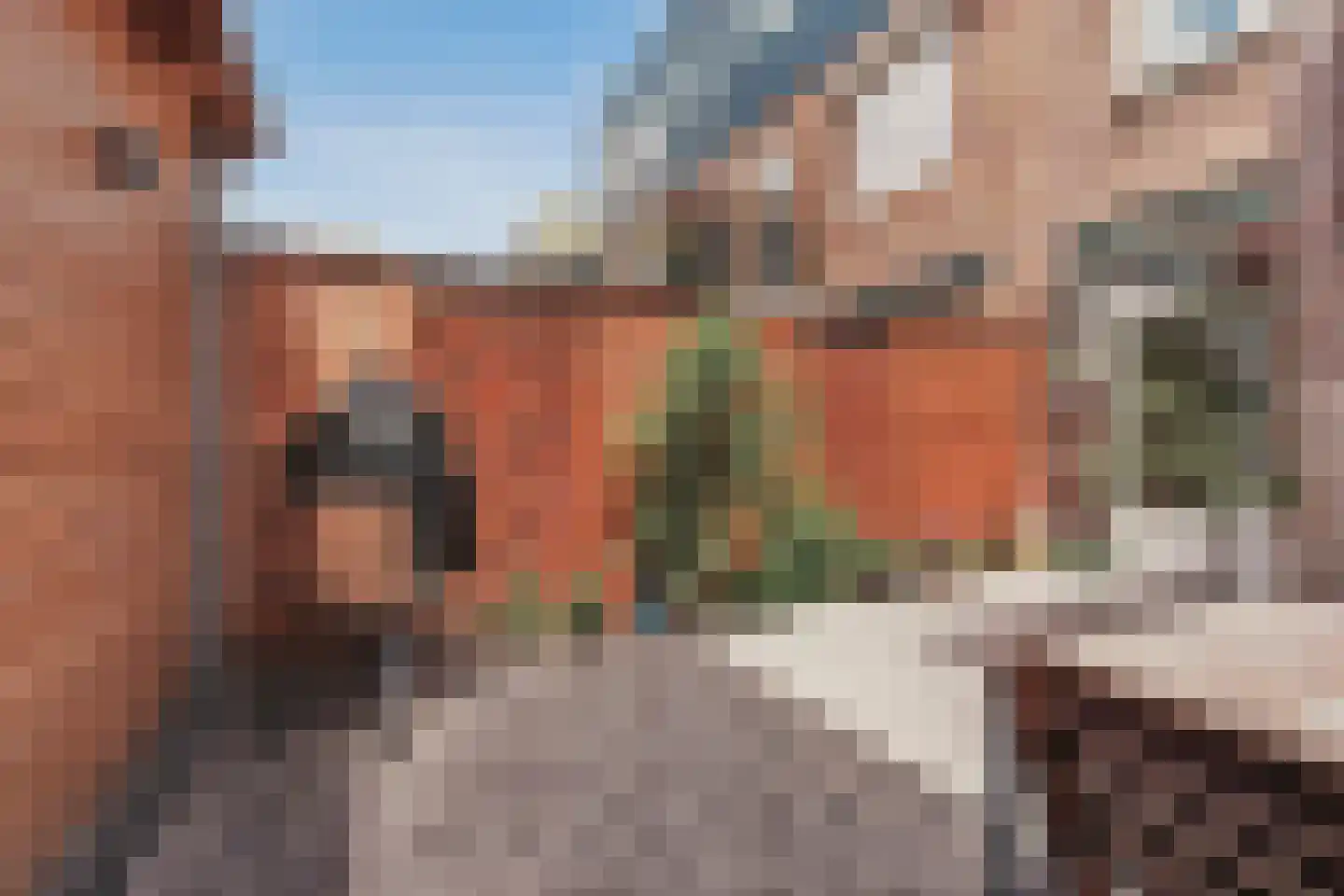 Rijnstraat 56 Haarlem thumbnail 14