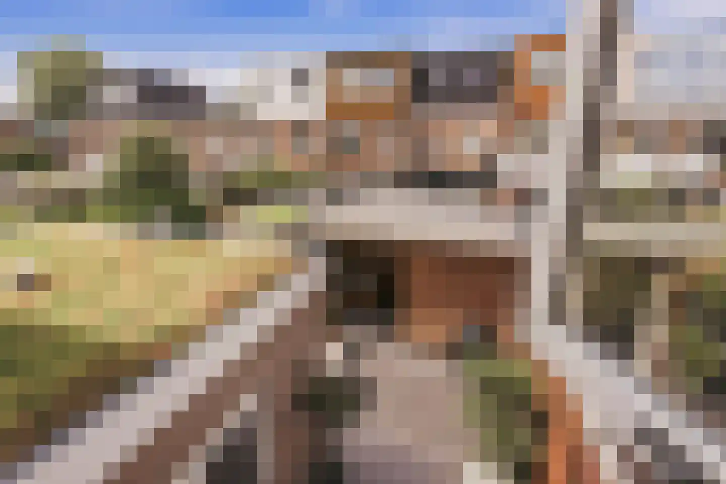 Rijnstraat 56 Haarlem thumbnail 29