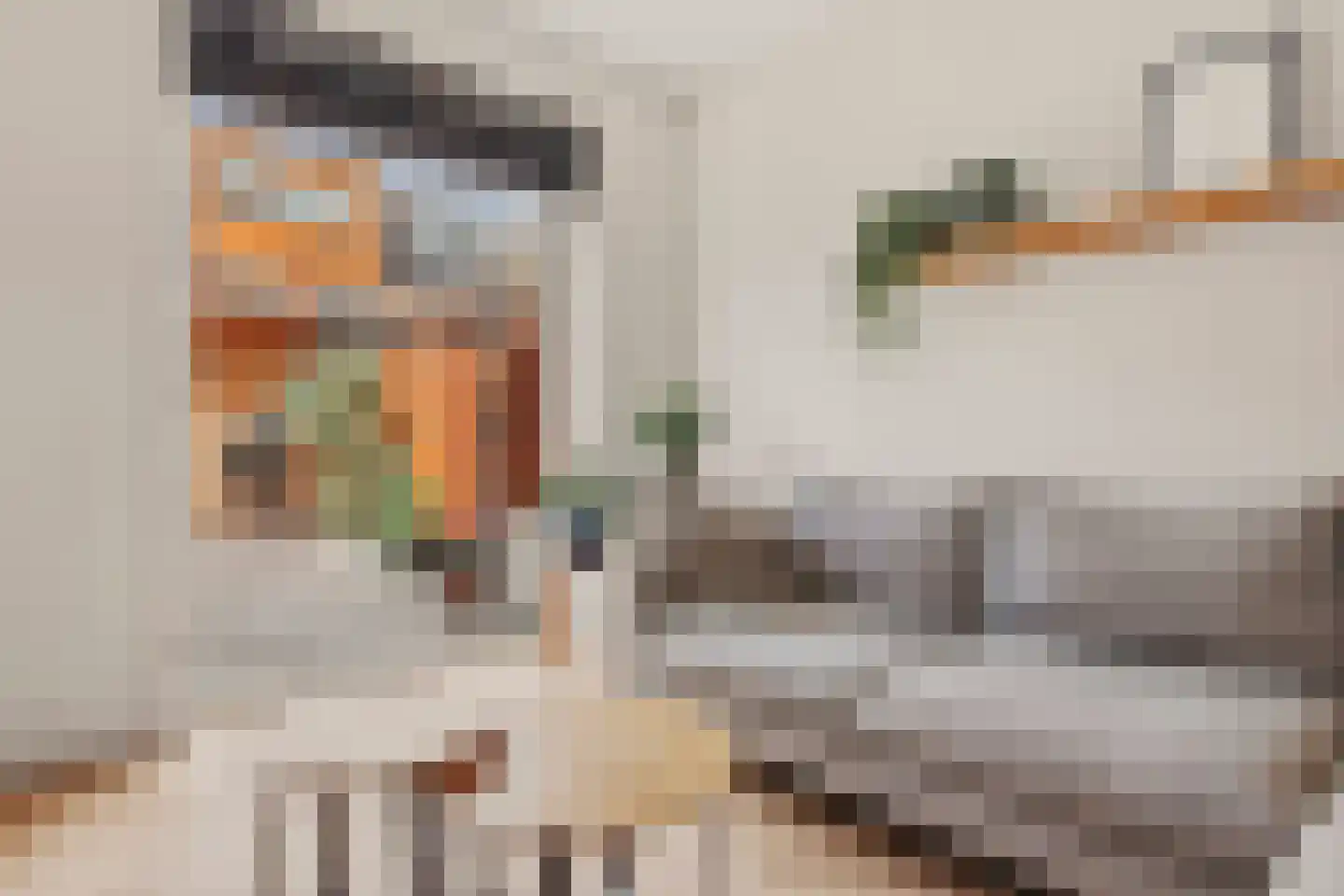 Rijnstraat 56 Haarlem thumbnail 9