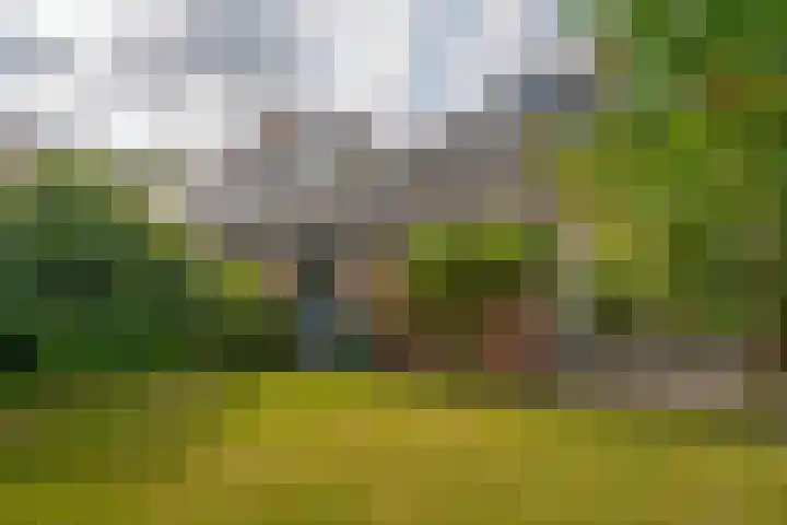 Rijnstraat 57 Hattem thumbnail 4