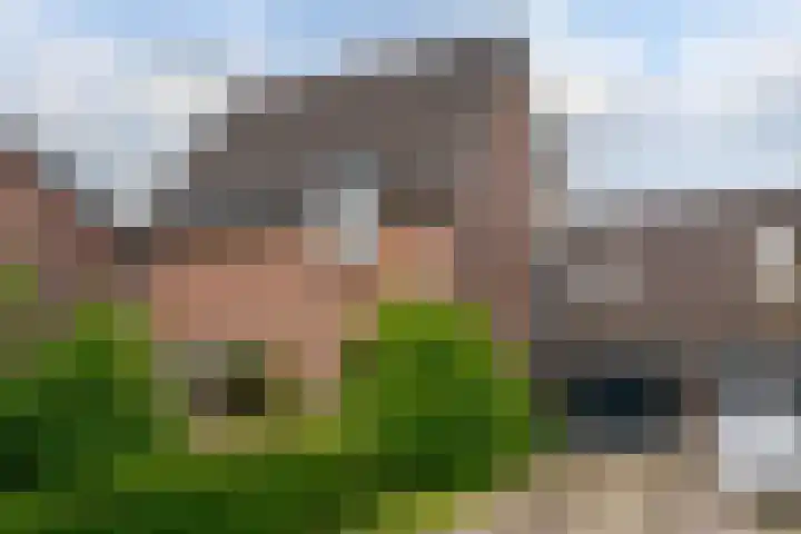 Rijnstraat 57 Hattem thumbnail 6