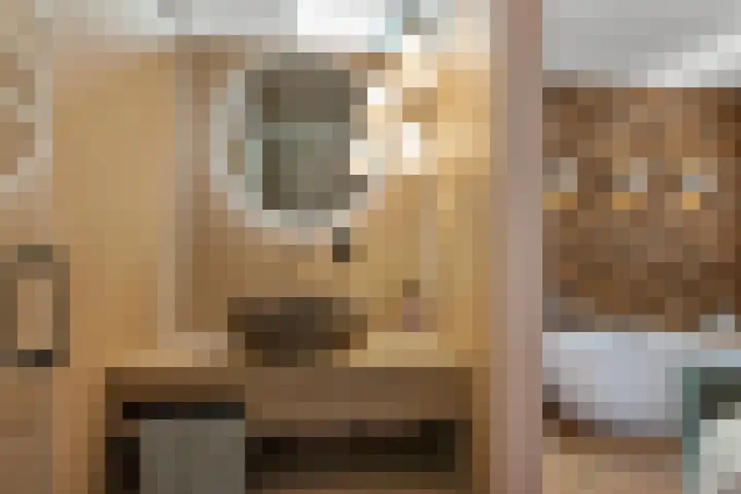 Rijnstraat 58 Haarlem thumbnail 29