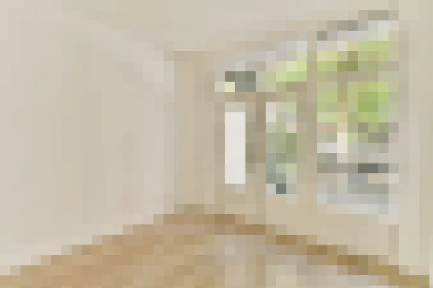 Rijnstraat 60 1 Amsterdam thumbnail 12