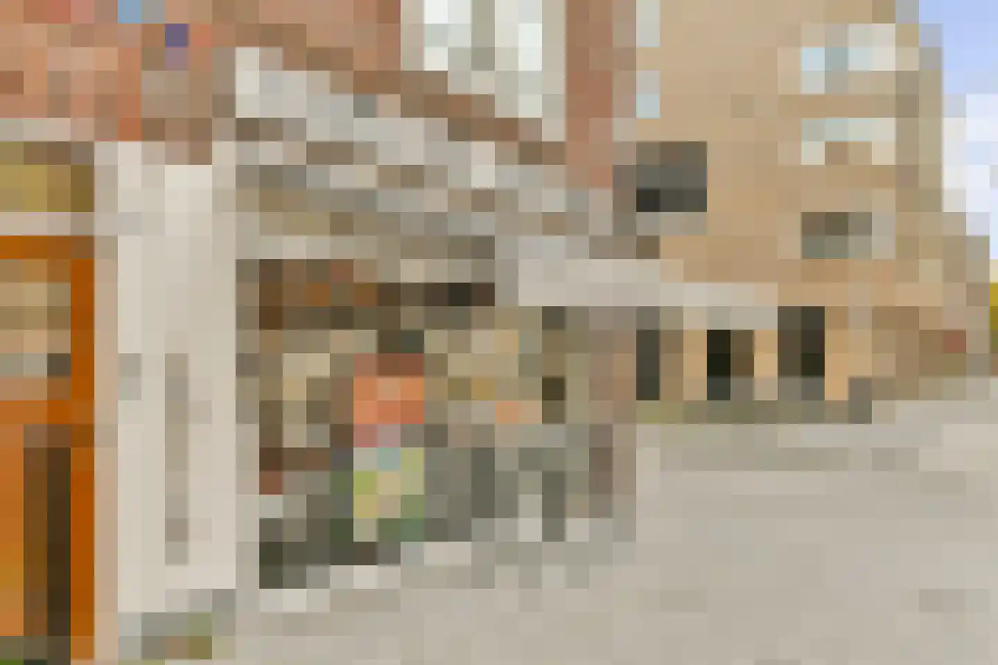 Rijnstraat 60 1 Amsterdam thumbnail 25