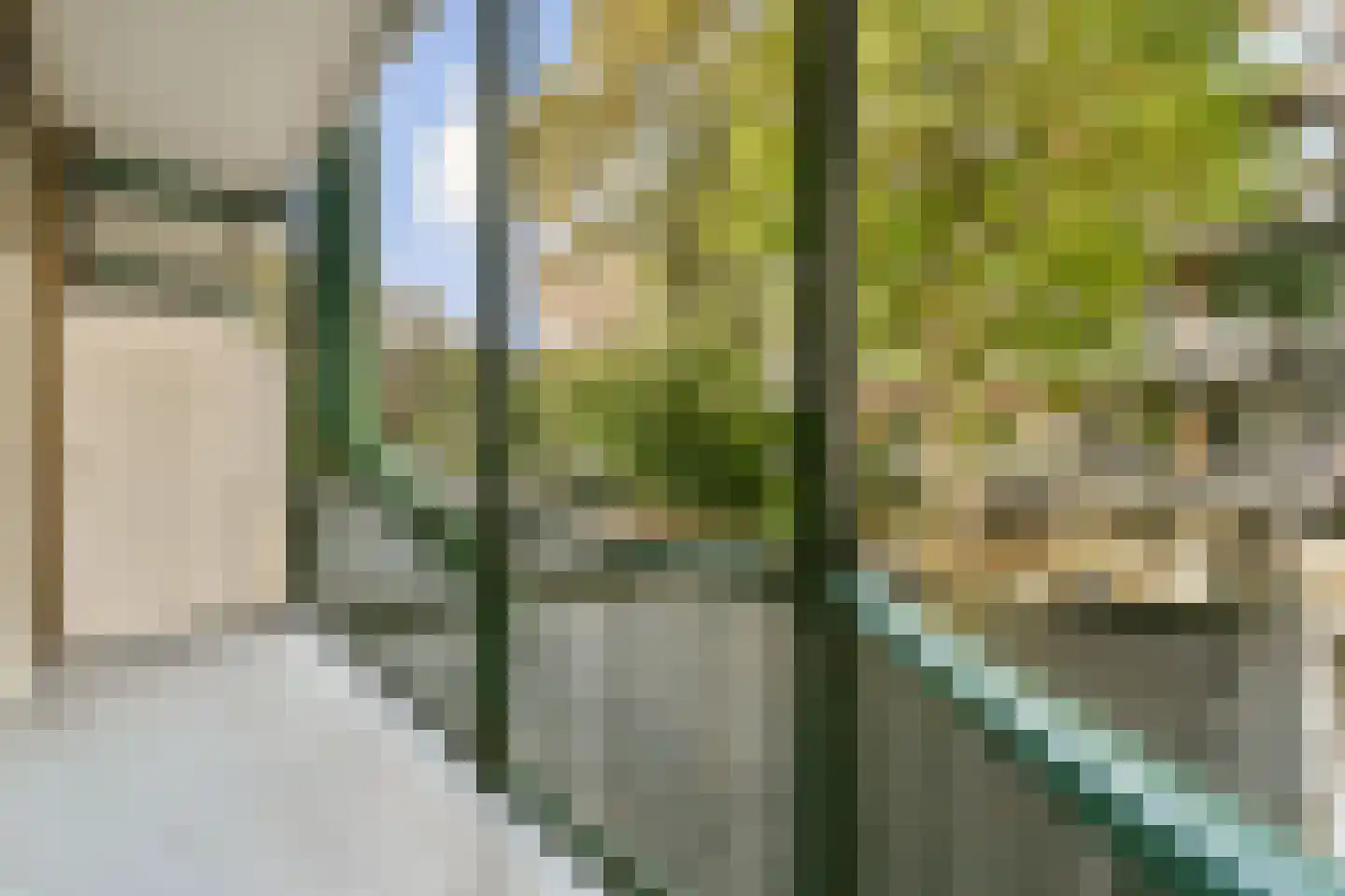 Rijnstraat 60 1 Amsterdam thumbnail 5