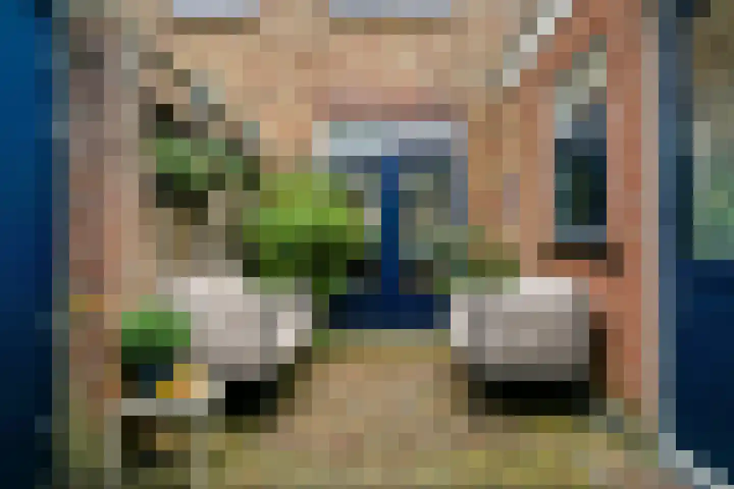 Rijnstraat 60 Haarlem thumbnail 10