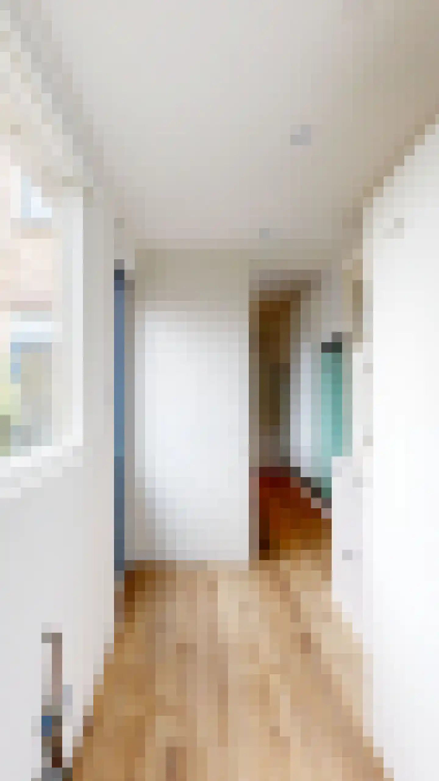 Rijnstraat 60 Haarlem thumbnail 15