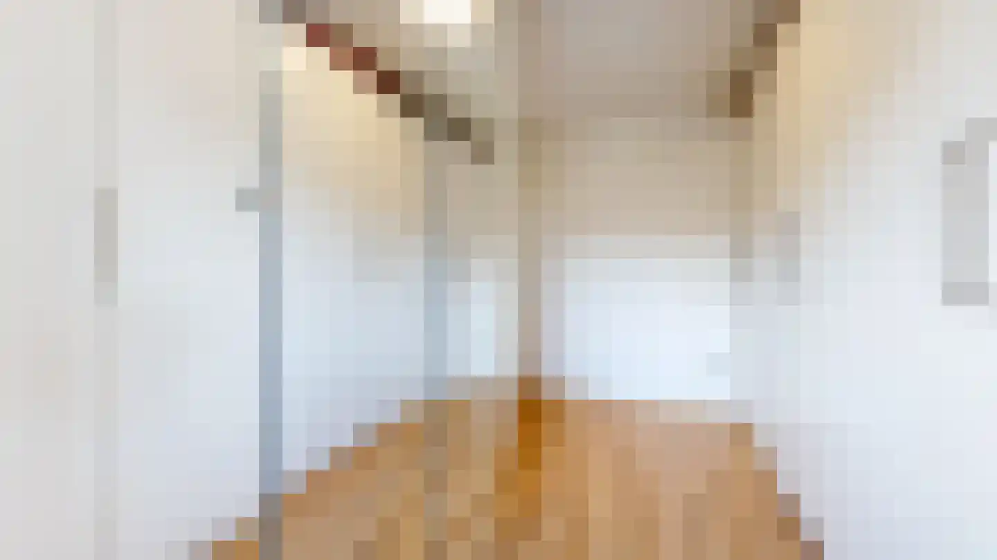 Rijnstraat 60 Haarlem thumbnail 33