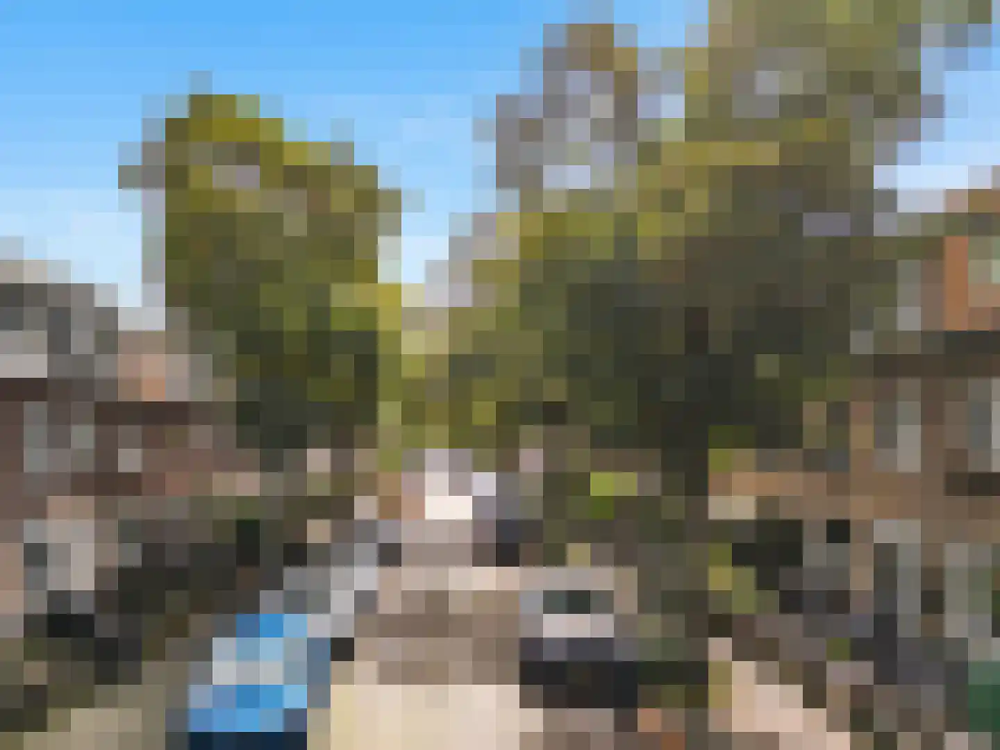 Rijnstraat 60 Haarlem thumbnail 37