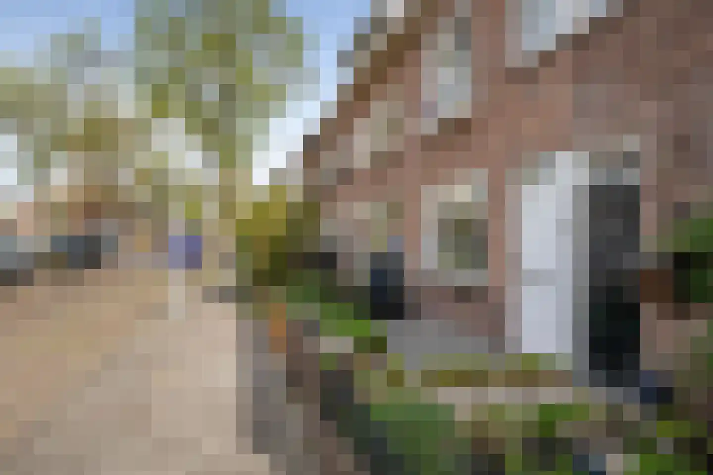 Rijnstraat 61 Haarlem thumbnail 38