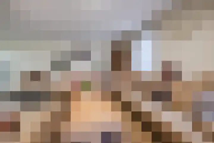 Rijnstraat 62 Veghel thumbnail 10