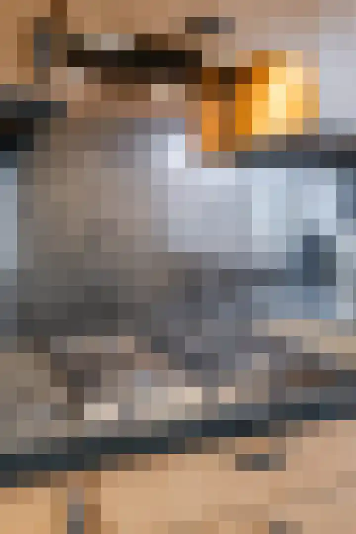 Rijnstraat 62 Veghel thumbnail 17