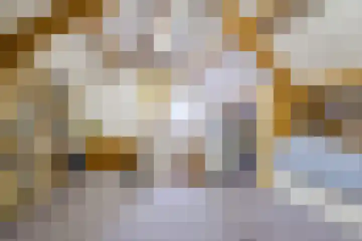 Rijnstraat 62 Veghel thumbnail 33